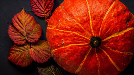 Orange Pumpkins on Food Background black, Thanksgiving autumn bright colors still life Flat lay