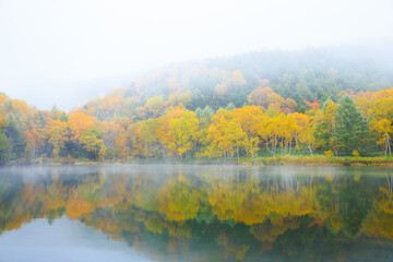autumn landscape with fog and lake