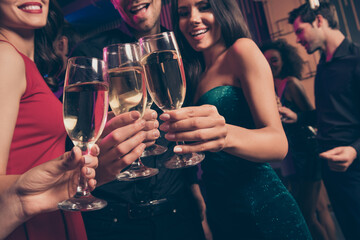 Cropped photo portrait of people clinking champagne glasses in nightclub