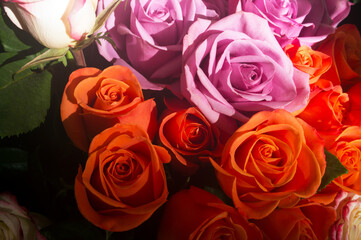 bouquet of pink roses