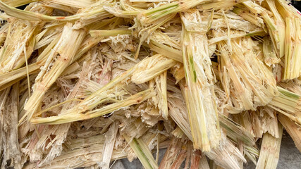 Bagasse that has been squeezed sugarcane. bagasse (waste product fibers left after the juice has...