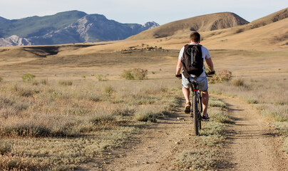 A traveler on a bicycle rides a dirt road into the distance.