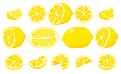 Big Set of whole, cut in half, sliced on pieces fresh lemons and lemon peel. Hand drawn vector illustration isolated on white background