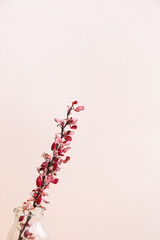 Dry flowers. A branch of dry barberry in a vase on a pink background. Autumn concept