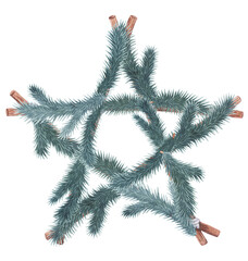 Star decor decorated with Christmas tree branches