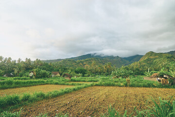 Fototapeta na wymiar A beautiful view on a vast green vale in Indonesia