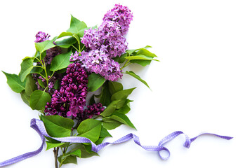 Lilac in flat style on white background. Beautiful spring. Overhead view. Flat lay, top. Summer season. Natural spring style.