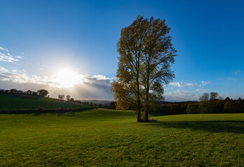 Sauerland Iserlohn Panorama Aussicht Horizont Deutschland Kesbern Hügel Täler Landschaft Herbst Sonne Gegenlicht Bäume Wiese Stimmung Natur Idyll blauer Himmel Abend Strahlen Baum Grüne Ruhrgebiet