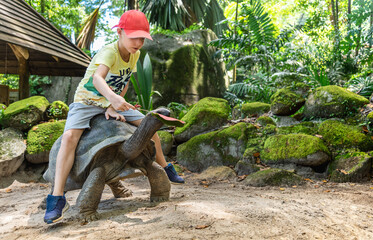 Boy riding and feeding giant tortoise at Seychelles National Botanical Gardens