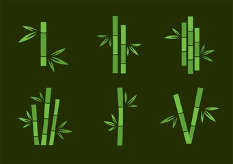 collection set of variation green bamboo vector on dark background