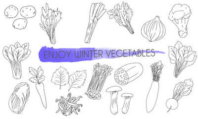 野菜　シンプル　アイコンセット