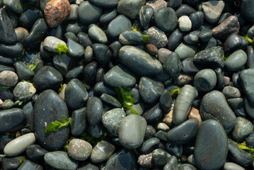 Mossy Rock Amongst Pebbles Background