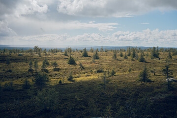 View from Riisitunturi in Lapland