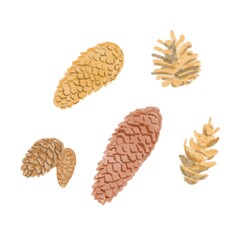 Set of pine cones, collection cones , digital illustration, isolated on white background 
