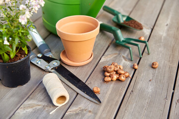 gardening, farming and planting concept - garden tools, pots and flowers on wooden terrace in summer