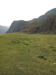 Gopher alone in the field