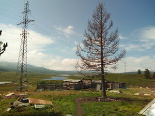 Altai view