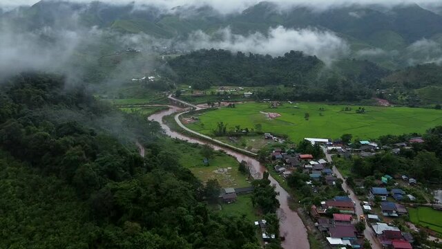 A view of the rice fields in the morning And a small village