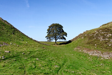 Sycamore Gap - Hadrian's Wall - Northumberland, England