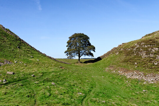 Sycamore Gap - Hadrian's Wall - Northumberland, England