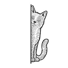 cat peeking from corner sketch raster illustration