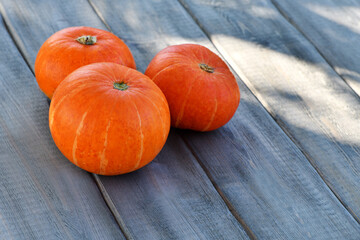 Three pumpkins lie on a wooden background. Autumn background. Halloween