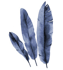 Abstract blue tropical banana leaves. Watercolour botanical illustration on white background.