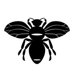 Cartoon cute bee mascot. Bee flies. Small wasp. Outline black logo element. Vector insect icon. Template design for invitation, cards, wallpaper, kindergarten. Doodle style.