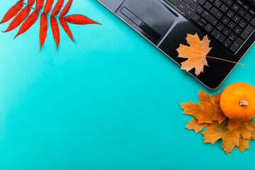 Top view of work space with open laptop and full of colorful autumn maple leaves with copy space.