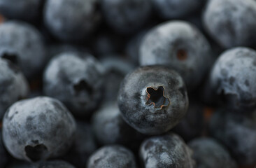 blueberry macro 
