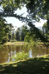 Naklejka premium A pond in the park