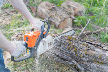 farmer sawing a tree with a chainsaw, selective focus, focus on the foreground, blurry background