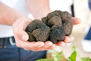 Laconi's black truffle festival, Laconi, Oristano, Sardinia, Italy