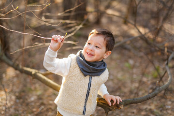 little preschool boy in casual clothes walks through the spring forest in the evening, backlight