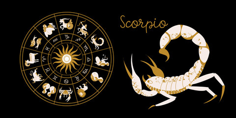 Zodiac sign Scorpio. Horoscope and astrology. Full horoscope in the circle. Horoscope wheel zodiac with twelve signs vector. - 387362399