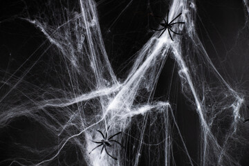 halloween, decoration and horror concept - Decoration of artificial spider web over black background with spiders