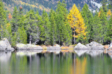 Fototapeta na wymiar The Serva lake, a splendid alpine lake, in the natural park of Monte Avic in the Aosta valley