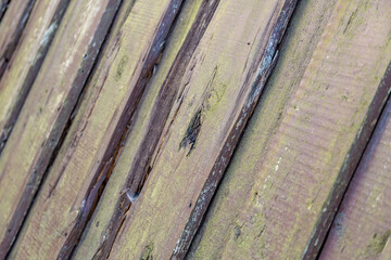 Textured surface of natural wood decorative materials