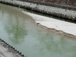 琵琶湖疎水の中州の砂