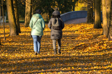 Fototapeta premium Indian autumn two unidentified women walk through a picturesque sunny park view of their backs