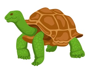 Giant turtle, reptile, wild animal. Illustration isolated on white background. Hand-drawn turtle in flat style.