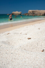 Emerald water in Is Aruttas beach, Cabras, Oristano, Sardinia