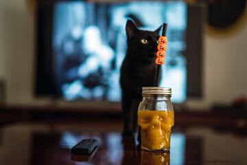 Vaso con forma de calavera rellena de liquido naranja sobre la mesa con gato negro de fondo