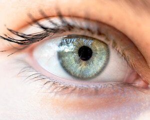 Clouse-up blue female eye 
