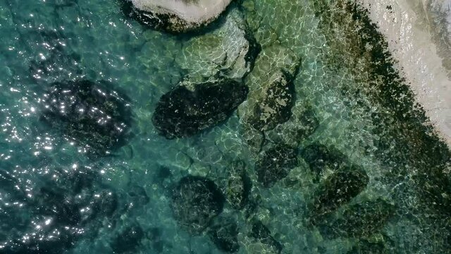 Drone zenithal view of snorkeling during the summer in Portonovo bay near Sirolo Italy in blue crystal sea water under the steep cliffs with green vegetation