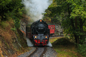 Narrow-gauge railway under steam in a valley in the Harz Mountains. Steam locomotive with wagon in the mountains in rainy autumn weather. Trees and rock face along the railroad tracks