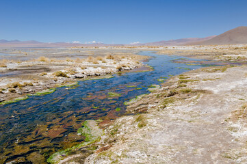 Laguna Salada (also known as Laguna Polski), Altiplano Shallow Lake, Potosi, Bolivia