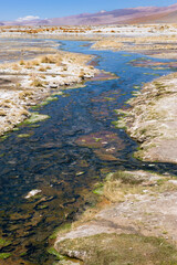 Laguna Salada (also known as Laguna Polski), Altiplano Shallow Lake, Potosi, Bolivia