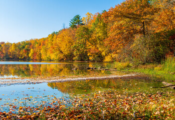 On the shore of a lake in autumn