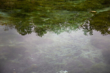 reflections of trees in the lake water. Autumn landscape.